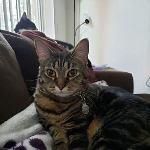 Meet your Posher, Andi